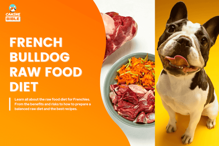 french bulldog raw food diet
