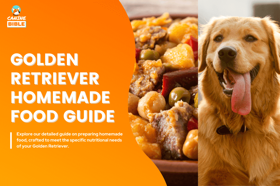Homemade Food For Golden Retriever