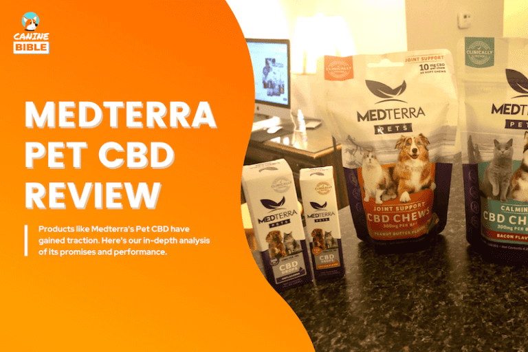 Medterra pet CBD review