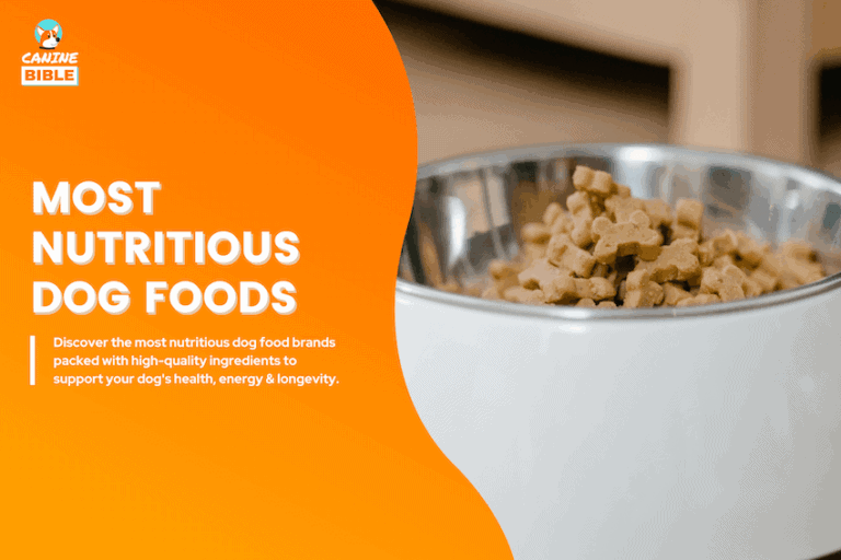 most nutritious dog foods