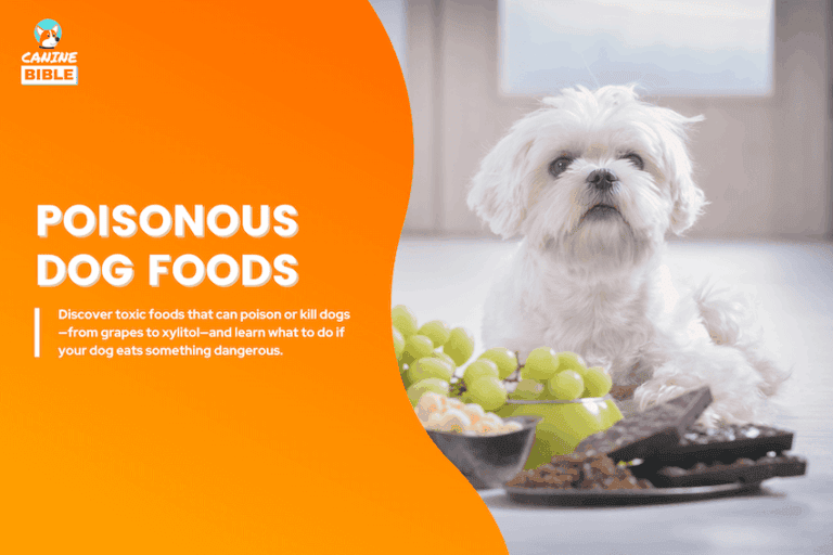 poisonous dog foods