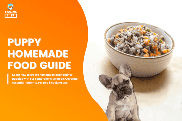 Homemade Dog Food For Puppies