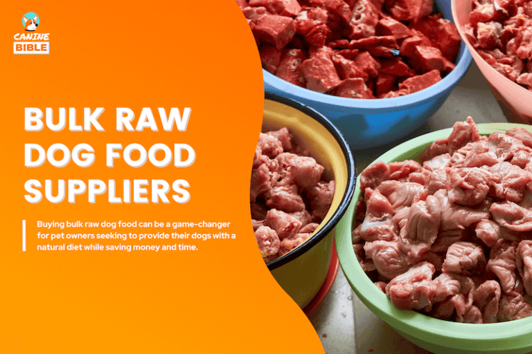 Best Bulk Raw Dog Food Suppliers: High Quality & Affordable Delivery