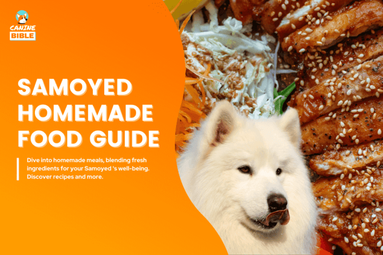 samoyed homemade dog food