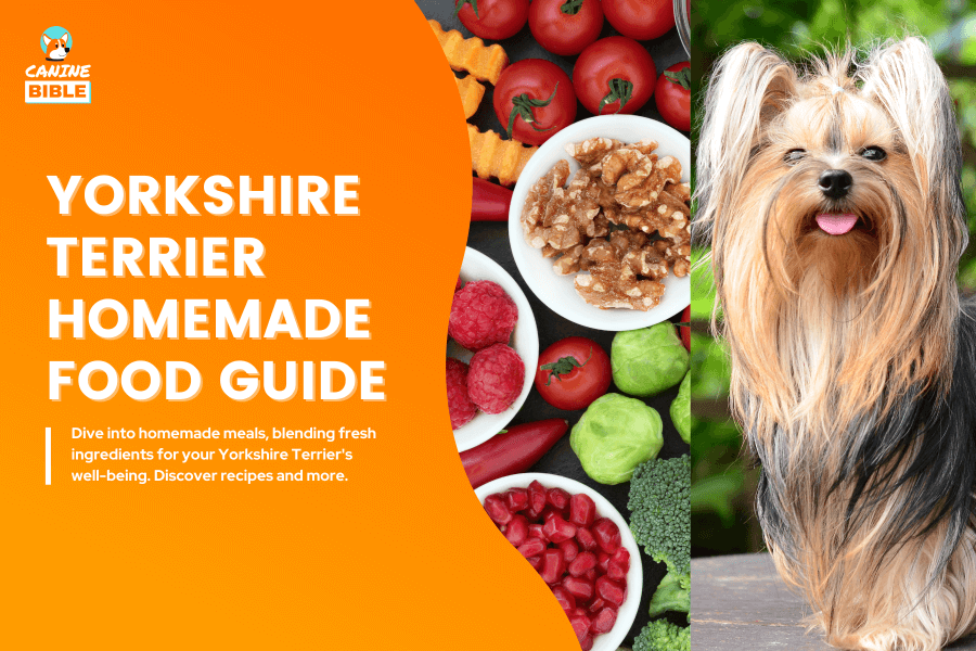 Yorkshire Terrier Homemade Food