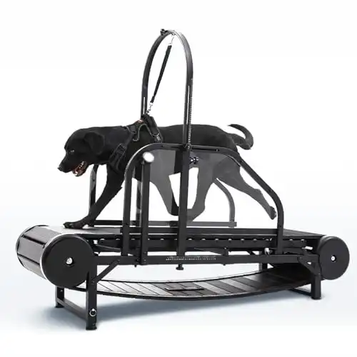 CAMTTIR New Dog Treadmill for 2025, Non-Electric Treadmill for Dogs with Step Counter, Adjustable Incline & Brake, Dog Treadmills Suitable for Indoor and Outdoor, Supports Up to 300 lbs