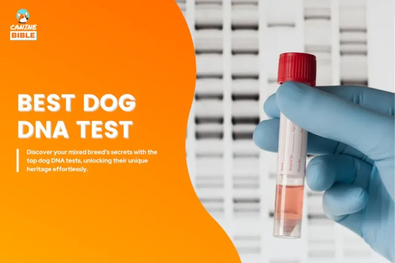 best dog dna test