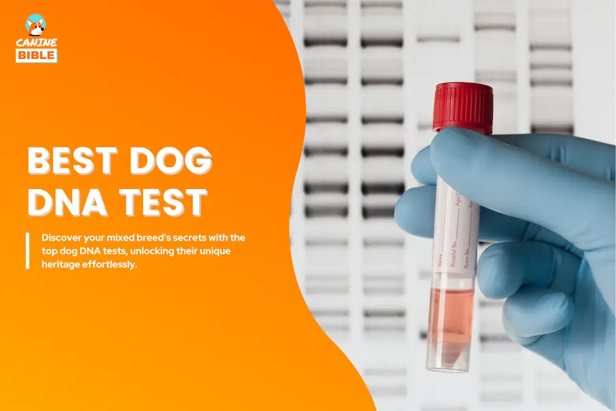 best dog dna test